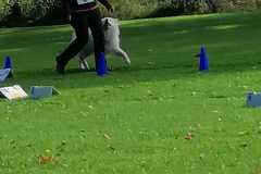 IMG-20220917-WA0009