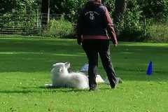 IMG-20220917-WA0015
