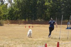 DSCN0209