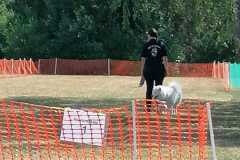 IMG-20220626-WA0007