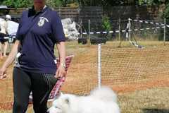 IMG-20220626-WA0010