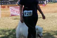 IMG-20220626-WA0013