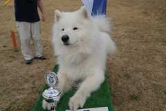 IMG-20220626-WA0036