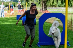 20220904_1431_Samojede_7821