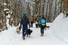 IMG-20230204-WA0019