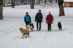 IMG-20230204-WA0026