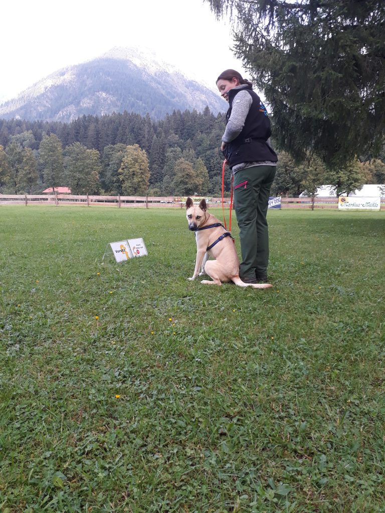 RORally Obedience hundesportverein Oberstdorf