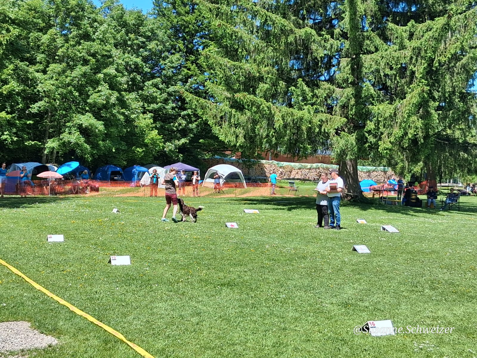 IMG-20250601-WA0038